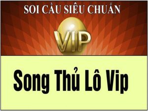 kết quả dự đoán chính xác song thủ lô miền nam